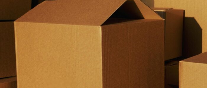 pexels-artempodrez-5025503 - Copia